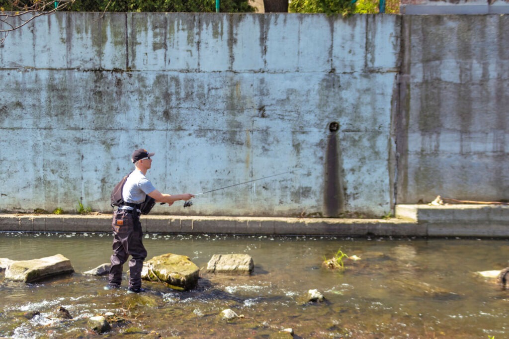 wodery street fishing
