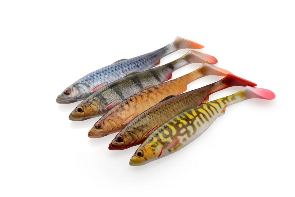4d herring shad kolory