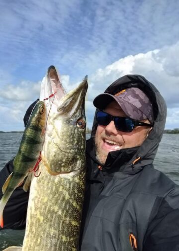 na szczupaka 4d herring shad