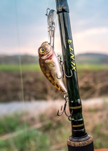 Goby Crank PHP