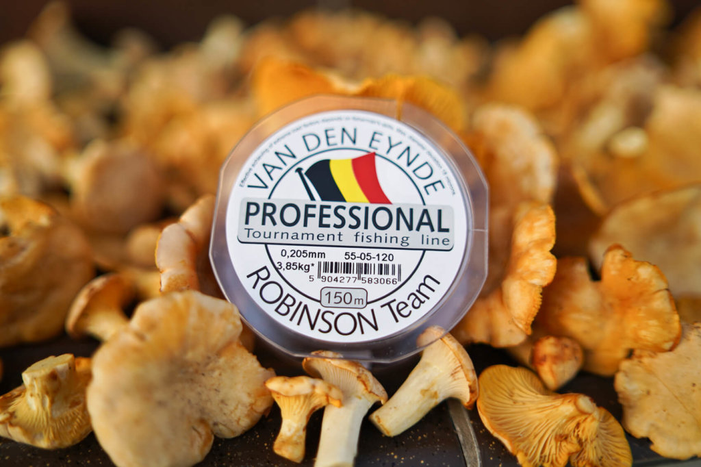 VDE Professional