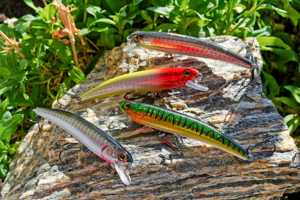 Twitching Robinson Minnow