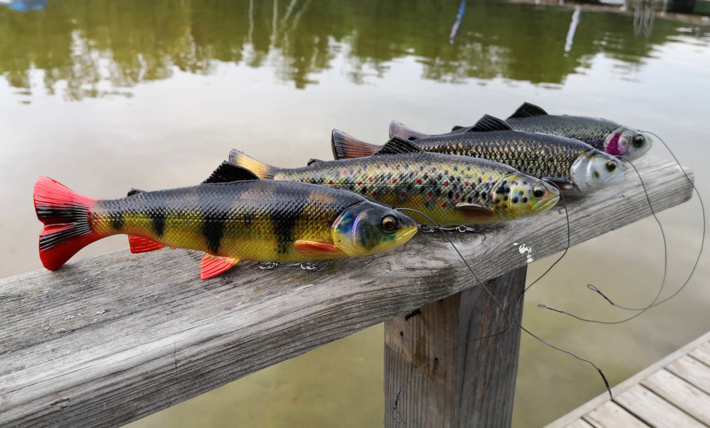 Tail Trout kolory