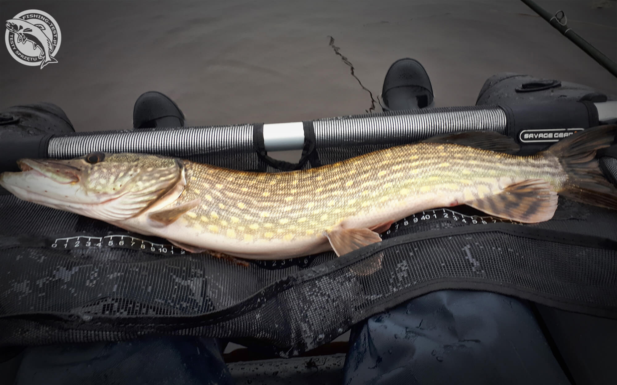 pływadełko-savage-gear-highrider (5)