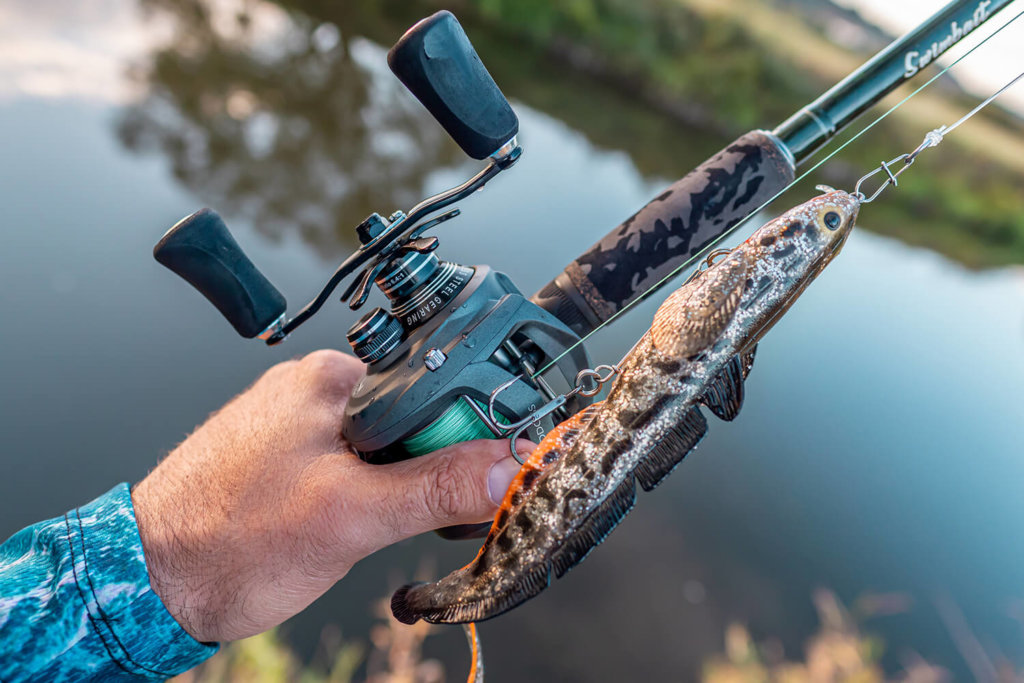 3d burbot shallow w akcji