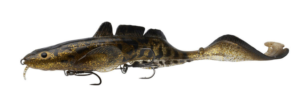 3D Burbot Shallow