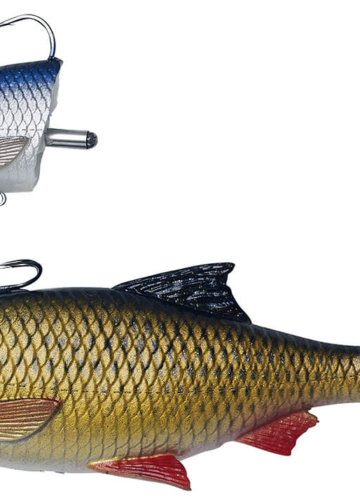 4d Line Thru Pulse Tail Roach