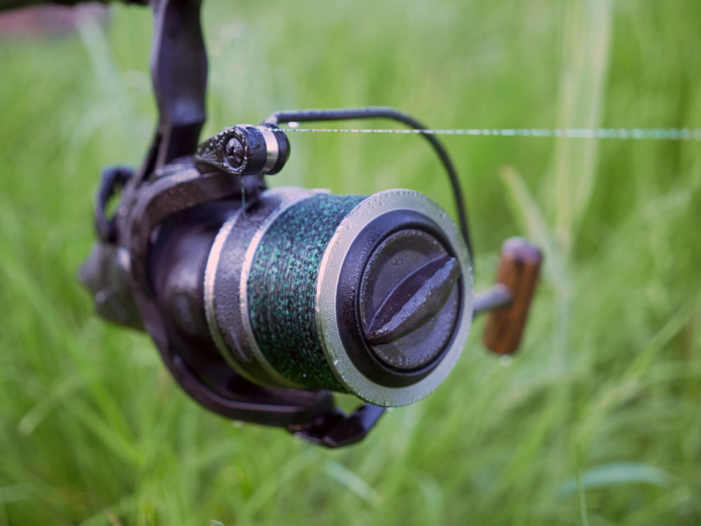 LS-6K Baitfeeder