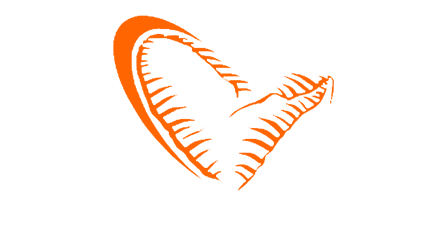 savage gear