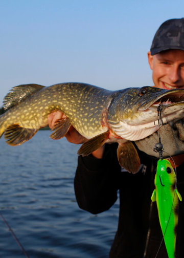 Przynęta szczupakowa 3D Goby Shad