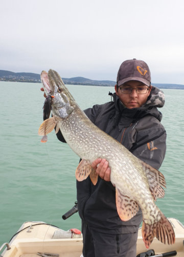 3D Goby Shad na szczupaka