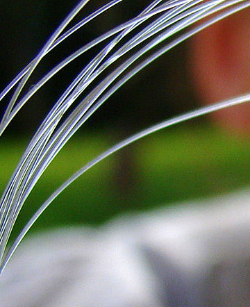 fluorocarbon jako linka główna