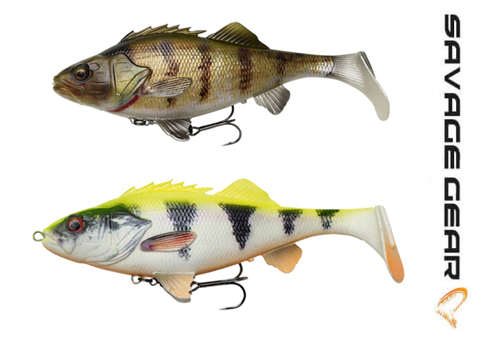 4d perch shad