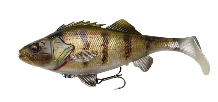guma 4D Perch Shad w kolorze Zander