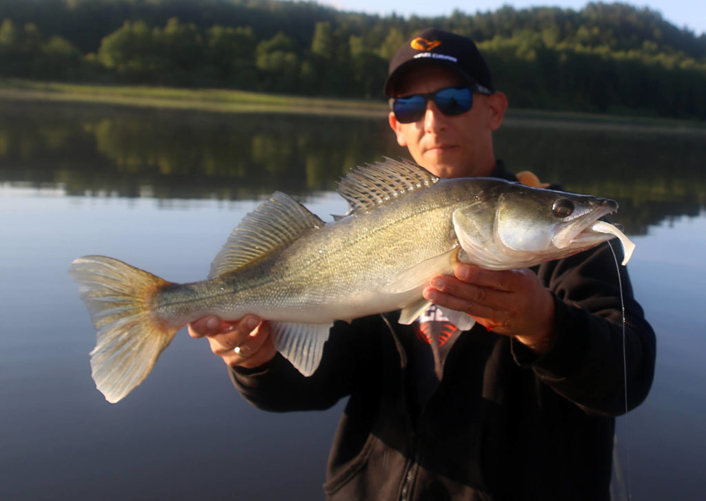 Fat T-Tail Minnow na sandacza