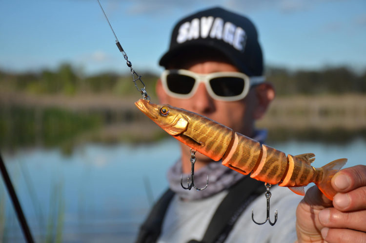 3d hard pike w całej okazałości